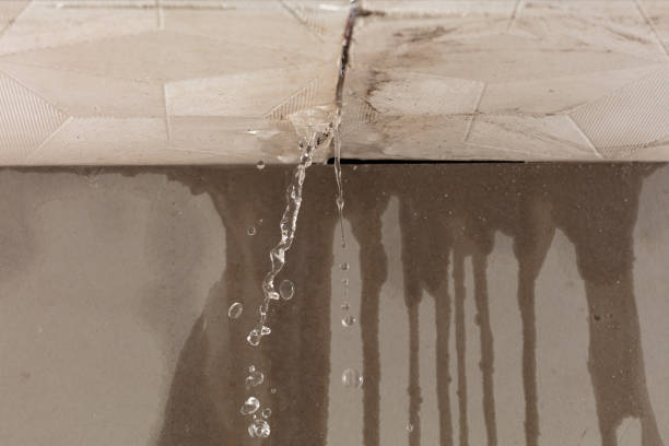 Professional Structural Drying technician working in Sun Valley, PA